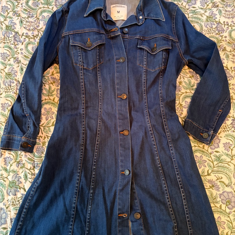 Zara Dark Blue Denim Button-Front Mini Dress